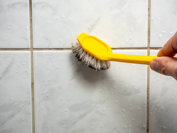 Best Mold Cleaning Services  in Auburn, AL